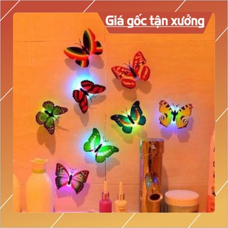 [FREESHIP_Xả Kho Cắt Lỗ] Đèn led dán tường hình con bướm dạ quang (DLB01)