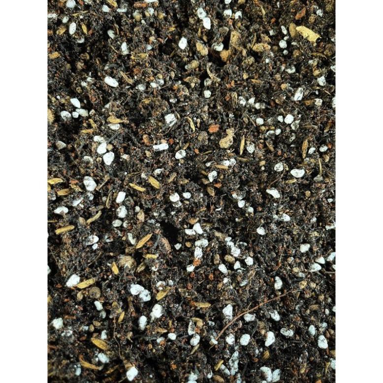 Đất trồng sen đá trộn sẵn (2kg) - Đất chuyên dụng cho sen đá