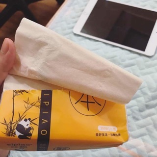 GIẤY GẤU TRÚC