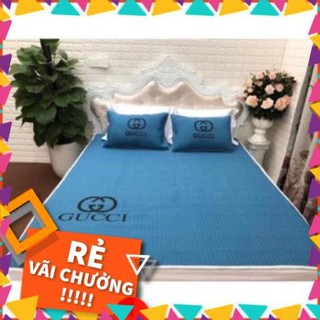 Chiếu đũi thương hiệu nhập khẩu cao cấp được chọn màu(ảnh thật tự chụp)