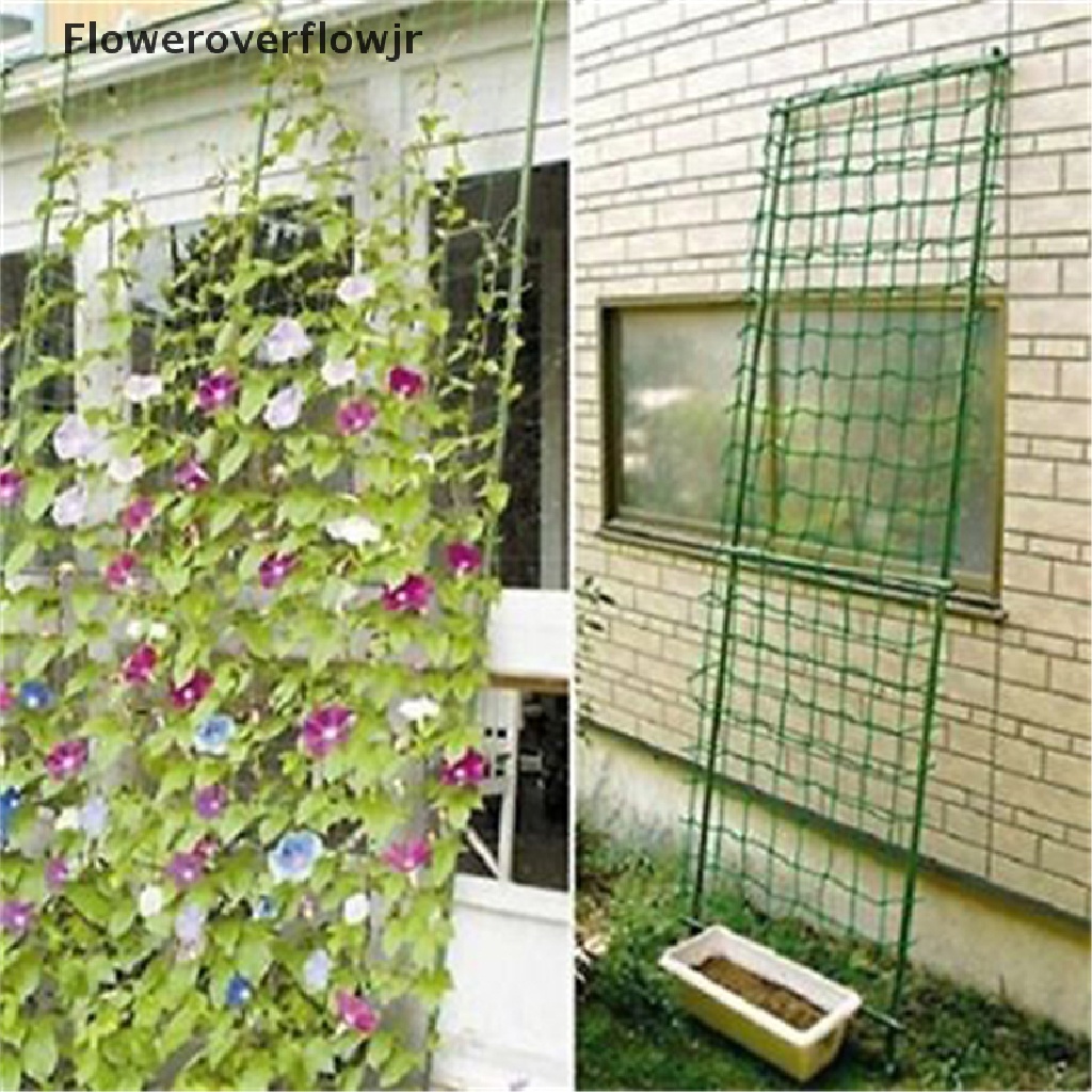 Hàng Rào Lưới Nylon Màu Xanh Lá Cây Hỗ Trợ Trồng Cây Dây Leo