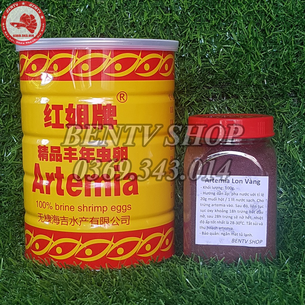 Trứng Artemia Ấp Nở Lon Vàng - Tỉ Lệ Nở Rất Cao