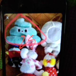 Gấu bông của trần nhật trường