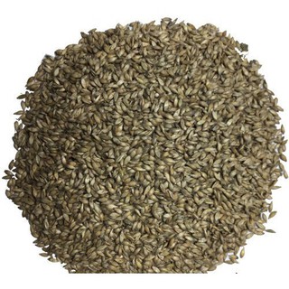 Gói 1KG hạt giống Cỏ Ruzi (Cỏ sả, Chịu giẫm đạp)