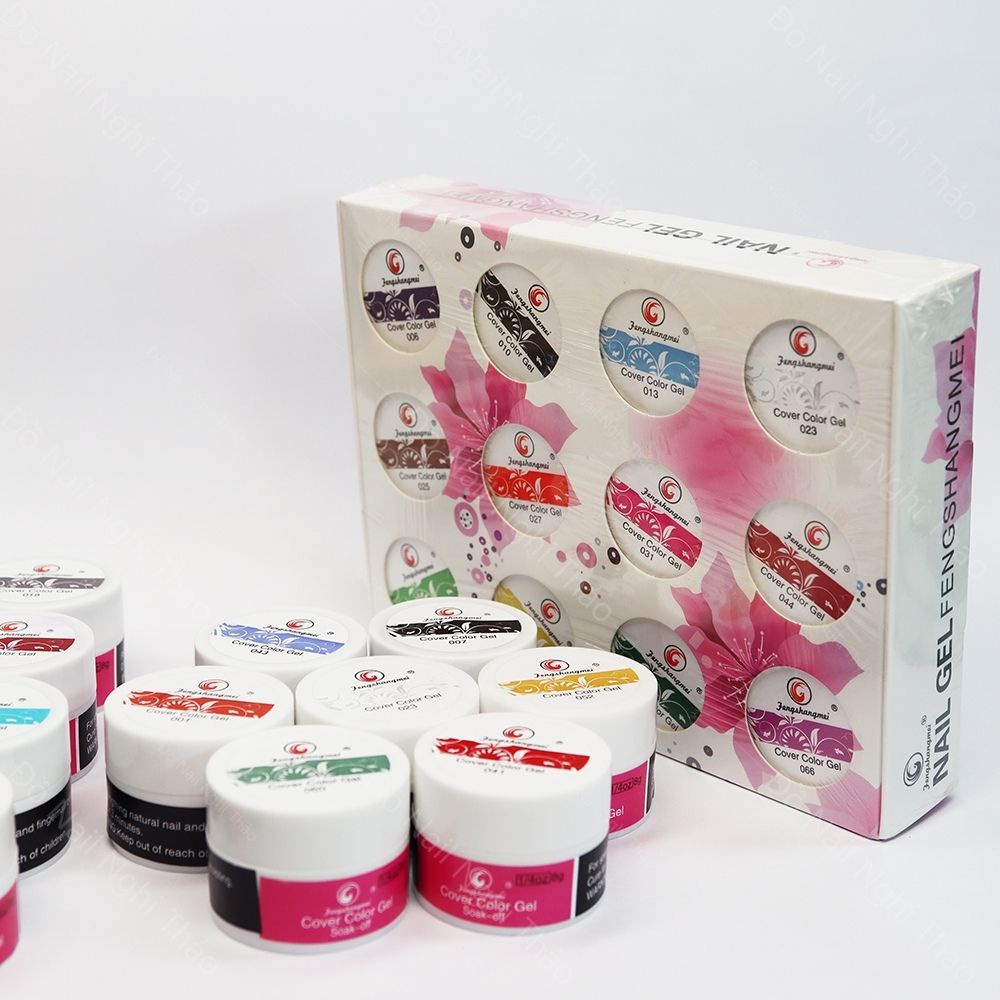 Set gel vẽ nail Fengshangmei 12 Màu