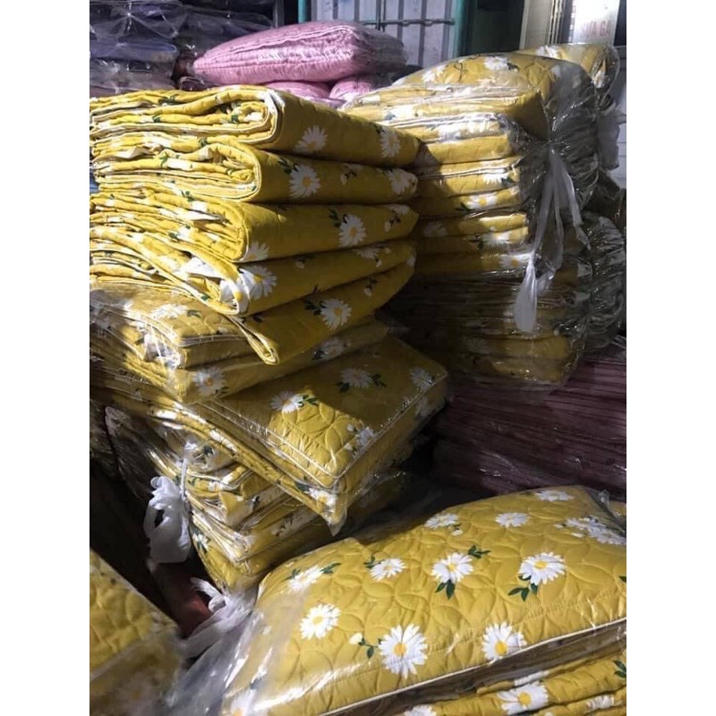 Sét bộ 5 món ga gối phủ trần bông kèm chăn hè lồng được ruột