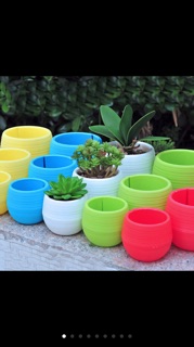 Chậu nhựa trồng cây mini