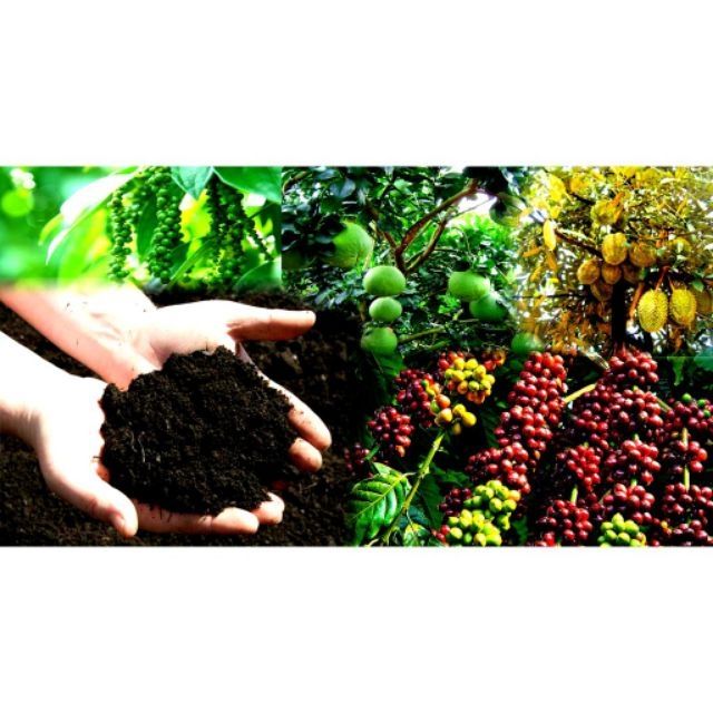 0.5kg phân trùn quế (500g) bón cây siêu tốt Worm fertilizer for flowers and ornamental plants