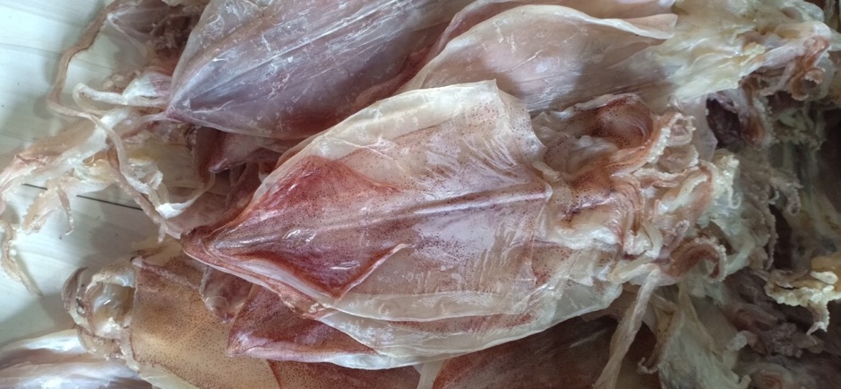 Mực Cà Mau size 500g ( 23con) | BigBuy360 - bigbuy360.vn