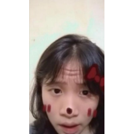 chó nuôi 15 năm