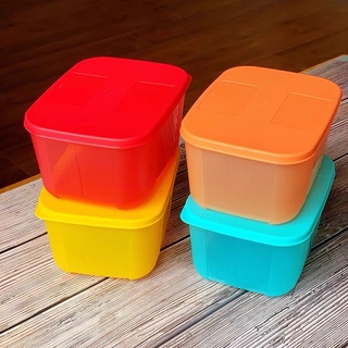 Set 4 Hộp Tupperware Rainbow 700ml Trữ Đông - Hộp Bảo Quản Thức Ăn Tươi Mát Ngăn Đông Mát Chính Hãng