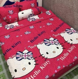 Bộ chăn ga combo 5 món