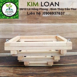 Combo 2 chậu lan gỗ hình tháp C1 20x10cm