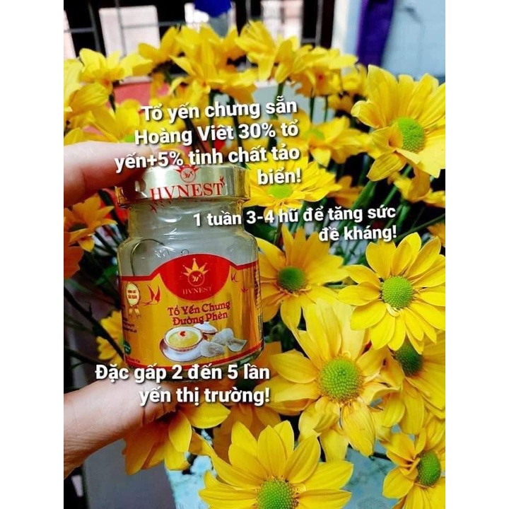 Yến sào Hoàng Việt, Yến chưng sẵn Hoàng Việt (full 7 vị) | BigBuy360 - bigbuy360.vn