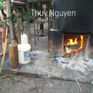 Tinh dầu tràm