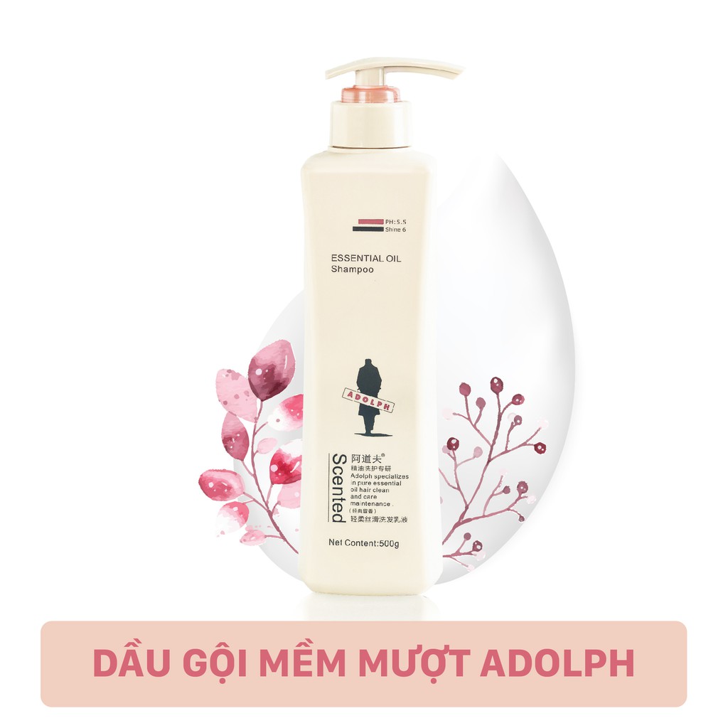 Dầu gội mềm mượt phục hồi tóc hư tổn Adolph Smooth Shampoo chất dầu tinh mịn 300ml