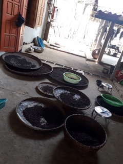 100gr HẠT DỔI ĐẶC BIỆT