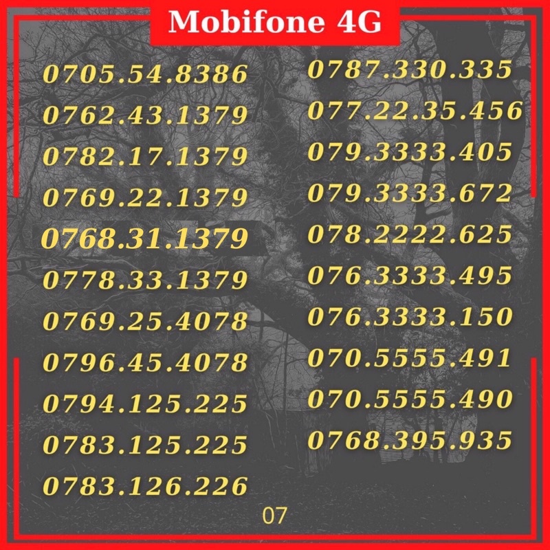 Sim mobifone số đẹp đầu 07.dễ nhớ đuôi 79, giá rẻ, đăng ký được gói cước combo nghe goi,vào mạng 4gb/ngày.