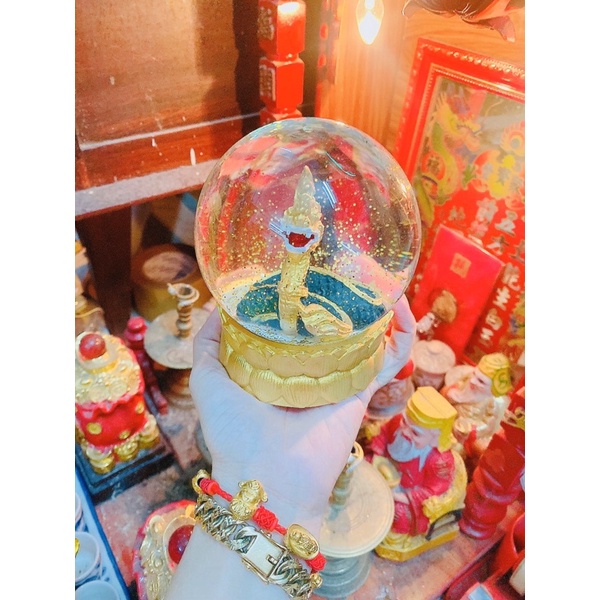 Quả cầu rắn thái lan vui lòng không trọn màu