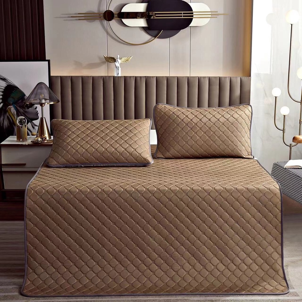 Chiếu Điều Hoà Cao Su Non Tencel Mát Lạnh , Chiếu Cao Su Điều Hoà Loại 1 nặng trên 2kg Mẫu Mới 2022 (tặng kèm 2 vỏ gối)