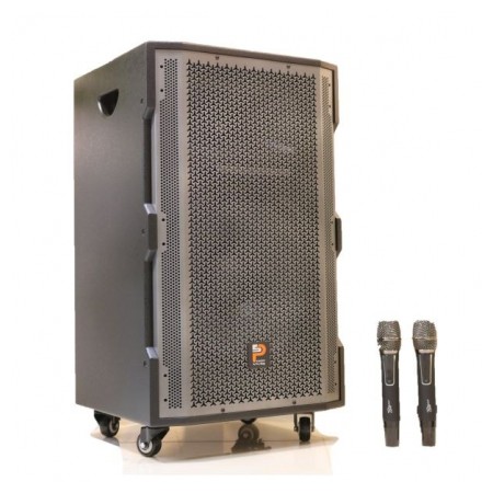 Loa kéo di động Prosing W15 Super, Loa thùng gỗ bass 40 công suất lớn + Bảo hành 12 tháng