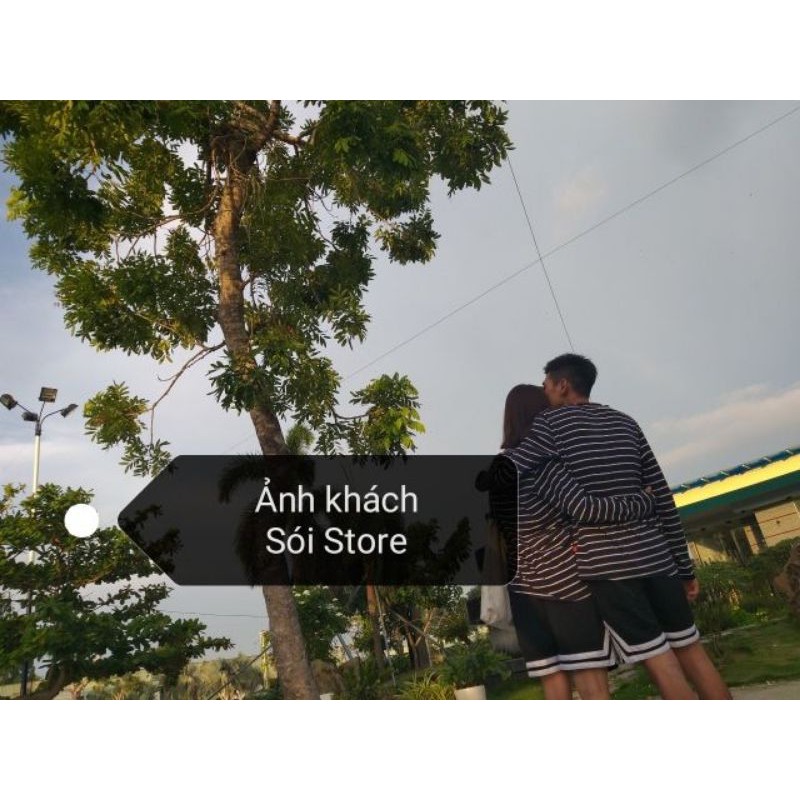 38-100kg Quần nam nữ shortVline thời trang unisex Sói Store Bigsize | BigBuy360 - bigbuy360.vn