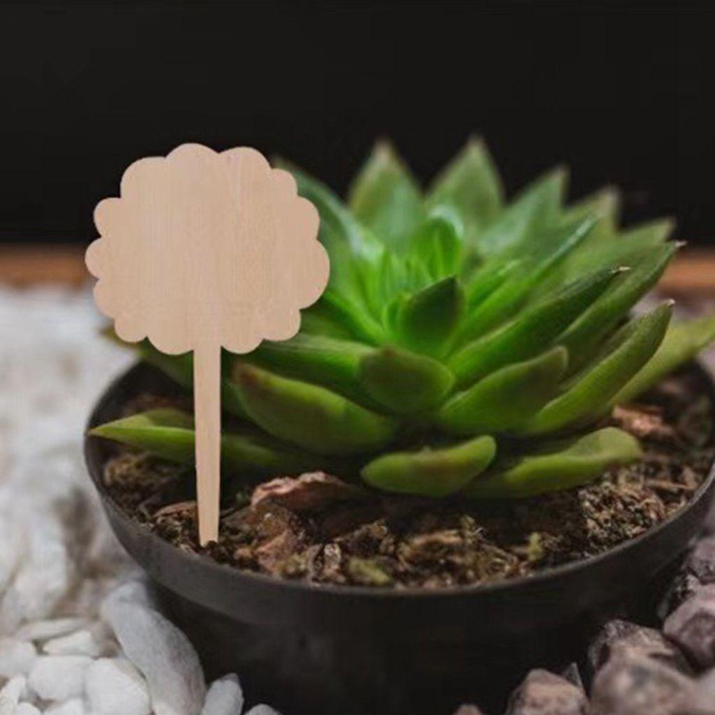 Thẻ Gỗ Đánh Dấu Cây Mọng Nước Hình Chữ T Thân Thiện Với Môi Trường DIY