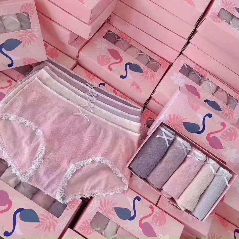 HỘP 5 QUẦN LÓT HỒNG HẠC, THIÊN NGA COTTON VIỀN REN CHÁT MỀM CHO NỮ
