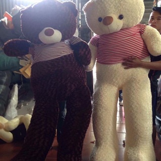 Teddy khổ vải m8