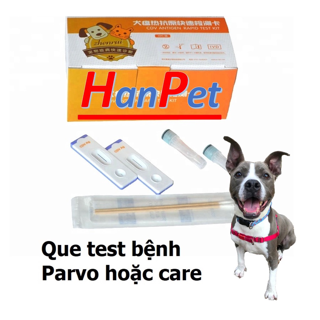 (CPV CDV)(1 que) Test bệnh parvo- que thử bệnh trên chó