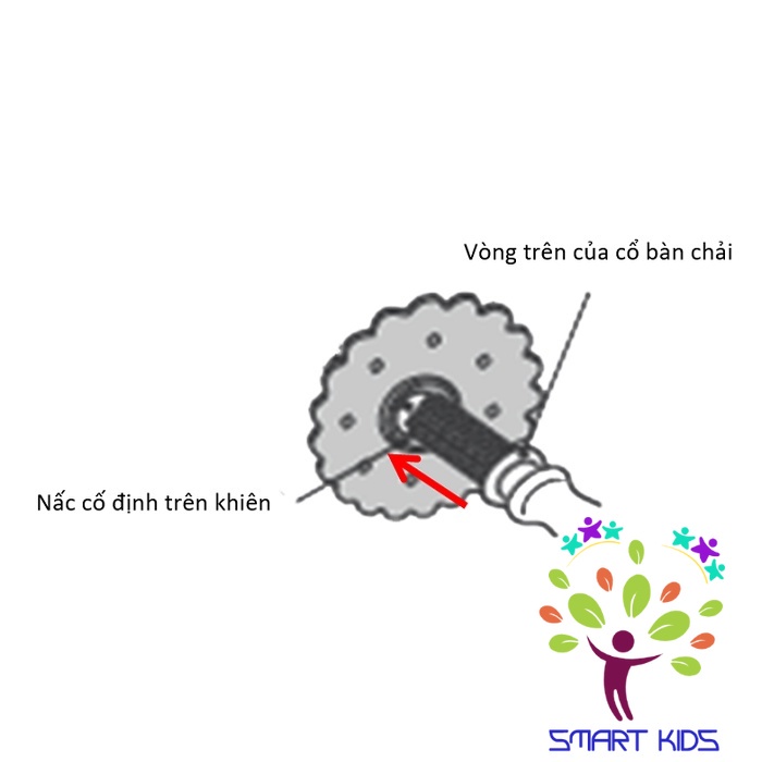 BÀN CHẢI BƯỚC 2 T.L.I RICHELL