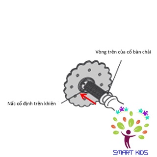 BÀN CHẢI BƯỚC 3 T.L.I RICHELL