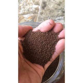 100gr Cám Micro 80 thức ăn dành cho cá Guppy, betta và cá vàng giúp cá lên màu tốt, tăng trọng nhanh