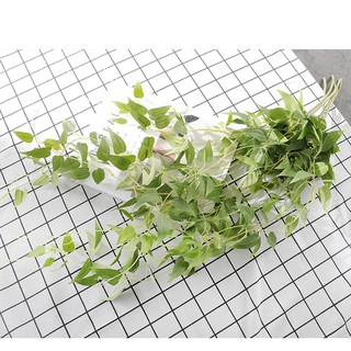 Nhành lá rũ mẫu 2 - dây lá giả