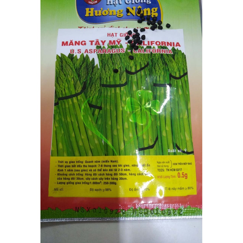 Hạt giống măng Tây xanh - gói 10 hạt