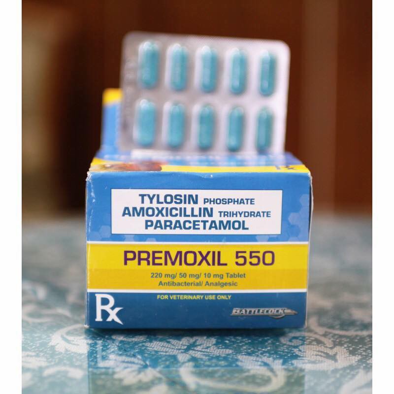 Premoxil 550 thuốc trị tang, khò khè, sổ mũi dành cho gà đá (1 vỉ) - Thuốc Chiến Kê.