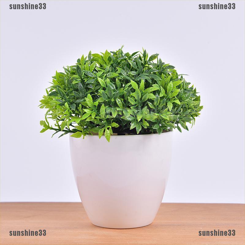Chậu cây nhân tạo xinh xắn dùng trang trí nhà cửa