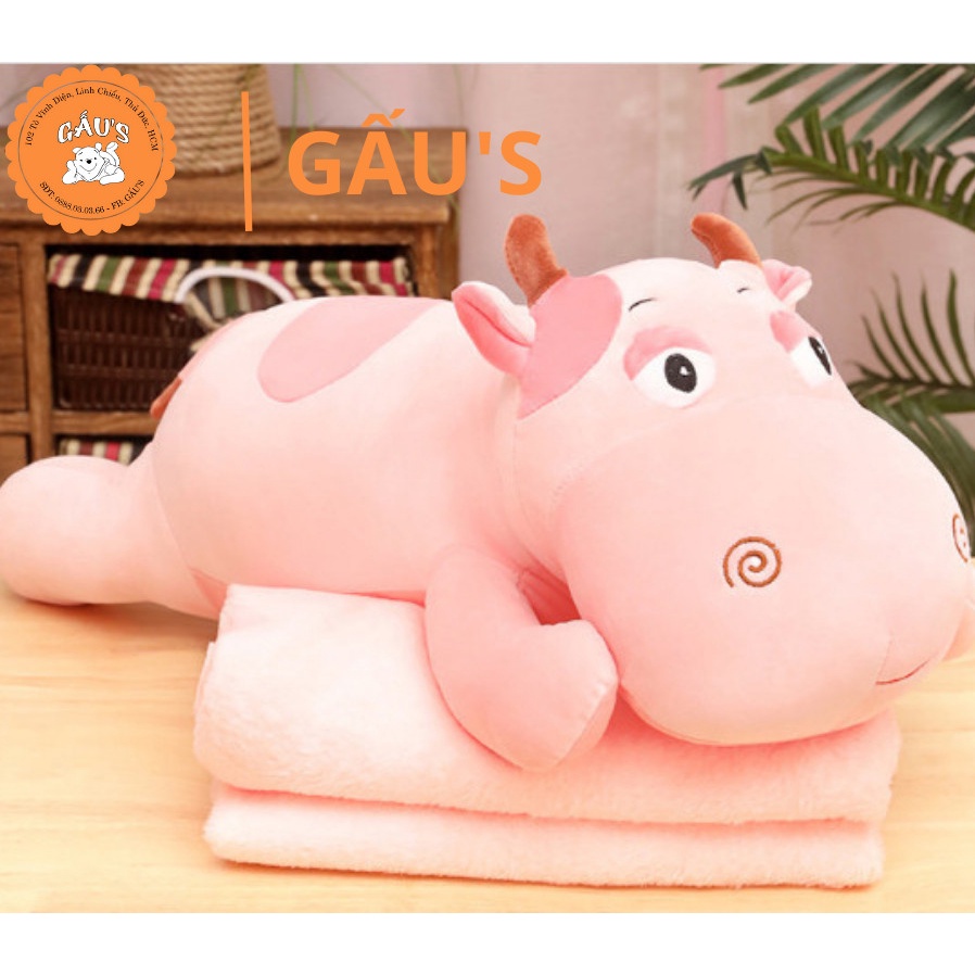 Gấu bông có mền Bò hồng dài ôm 70 cm  - GẤU SHOP