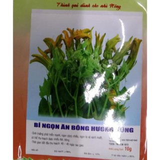 HẠT BÍ NGỌN ĂN BÔNG - GÓI 10 GRAM