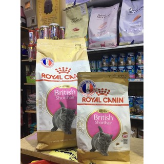 Thức ăn cho mèo Anh lông ngắn con ROYAL CANIN British Shorthair Kitten
