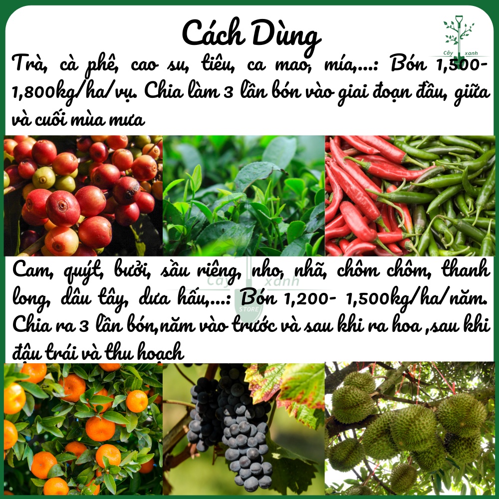Phân Bón Hữu Cơ Hoa Hồng Phân Bón Hoa Hồng, Cây Cảnh GREEN FARM Gói 1kg - Key: Đất sạch, Phân Bón, Hữu Cơ, Xơ Dừa