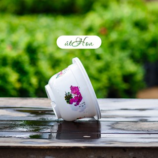 Chậu Bốn Mùa in hoa (size nhỏ và vừa)