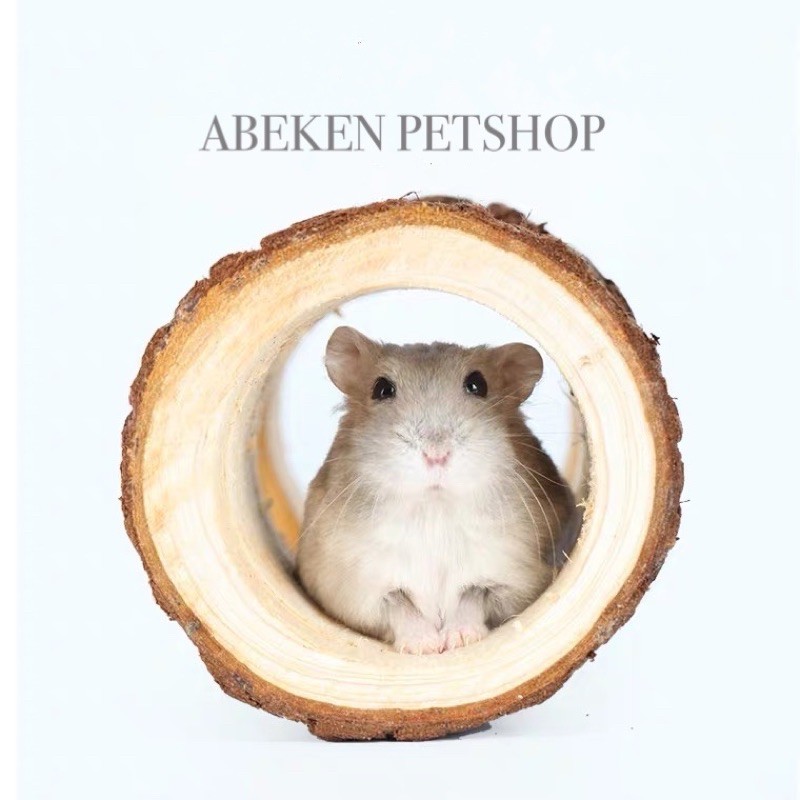Ống chui gỗ thông cho Hamster
