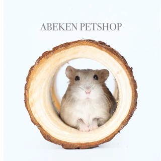 Ống chui gỗ thông cho Hamster