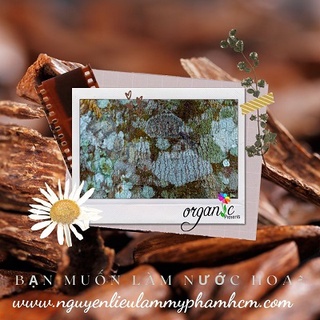 Oud fragrance oil