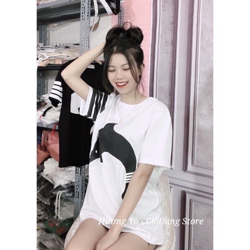 Áo phông cá heo 4 vạch tay TTA656