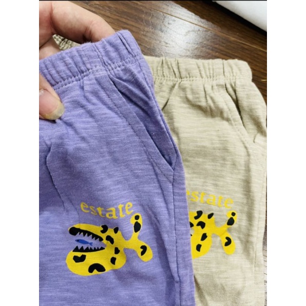 Bộ cộc tay áo cotton quần cotton xước Petite xuất Hàn cho bé trai bé gái hai màu quần nâu và tím