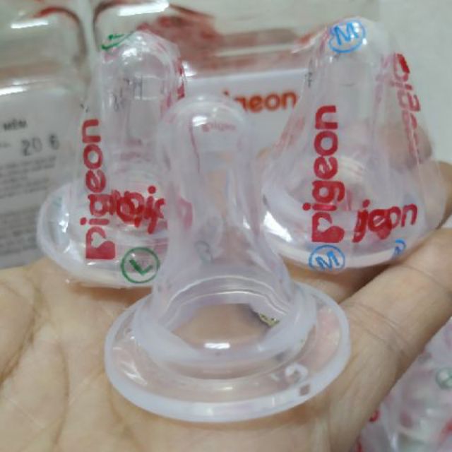 Núm ty Pigeon cổ hẹp size S,M,L