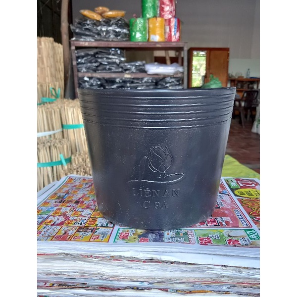 Combo 200c chậu nhựa đen 9A Liên An