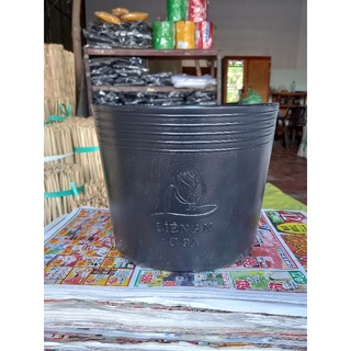 Combo 200c chậu nhựa đen 9a liên an